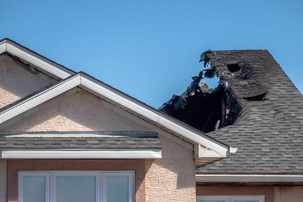 Top rated local Board Up Services specialists in Pflugerville, TX